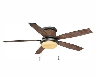 Roanoke 56" Indoor/Outdoor Natural Iron Ceiling Fan w/ LED Bulbs - Image 1 of 2