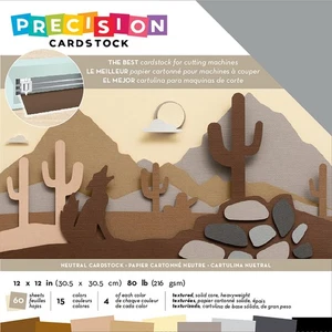 American Crafts Precision Cardstock Pack 80lb 12"X12" 60/Pkg-Neutral/Textured - Picture 1 of 1
