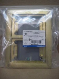 Thomas & Betts 642 P CACB Brass 2 Gang Carpet Activation Kit 642P-CACB - Picture 1 of 8