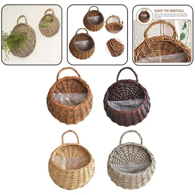 Verbessern Sie Ihre Stimmung mit der natürlichen Atmosphäre dieses hängenden - Bild 1 von 4