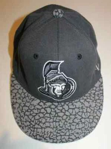NHL Hockey Vintage Ottawa Senators Stretch Fit Hat Cap Fit Small Gray - Picture 1 of 4