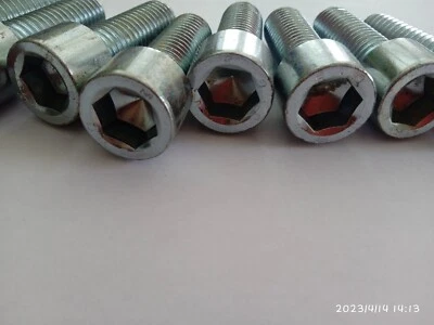 VITE ZINCATA UNI 5931 TESTA A BRUGOLA TONDA CON CHIAVE ESAGONALE M14 X 40 - Immagine 1 di 3