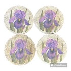 Iris Coasters Cork Backing Round Thirsty Stone Lot Of 4
