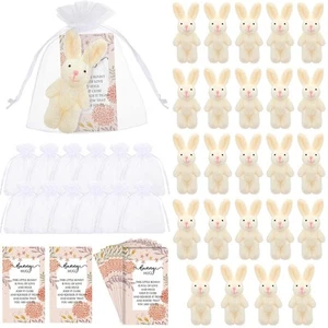 24 Sets Easter Bunny Stuffed Animal Gift Include 24 Mini Plush Bunny Stuffed ... - Picture 1 of 7