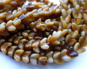 Tapas de cuentas, 50 vidrio prensado checo caramelo lechoso opaco flor 5x5 mm - Imagen 1 de 2