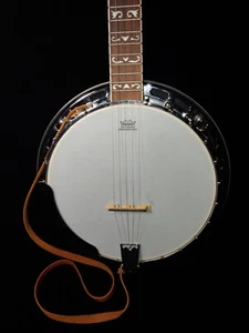 REDUCED! Fender FB-55 Resinator 5 String Banjo. Beautiful Piece! Excellent Cond. - Picture 1 of 8