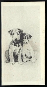 BRITISH AMERICAN (PRINTED) - ETCHINGS (OF DOGS) - #13 LITTLE MISCHIEFS - Picture 1 of 2