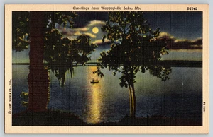 Postcard - Greetings from Wappapello Lake Missouri - Picture 1 of 2
