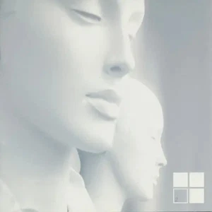 CD paul t, hook the captain, sasi shalom New Sound Theory Volume 2 NEW OVP - Picture 1 of 1