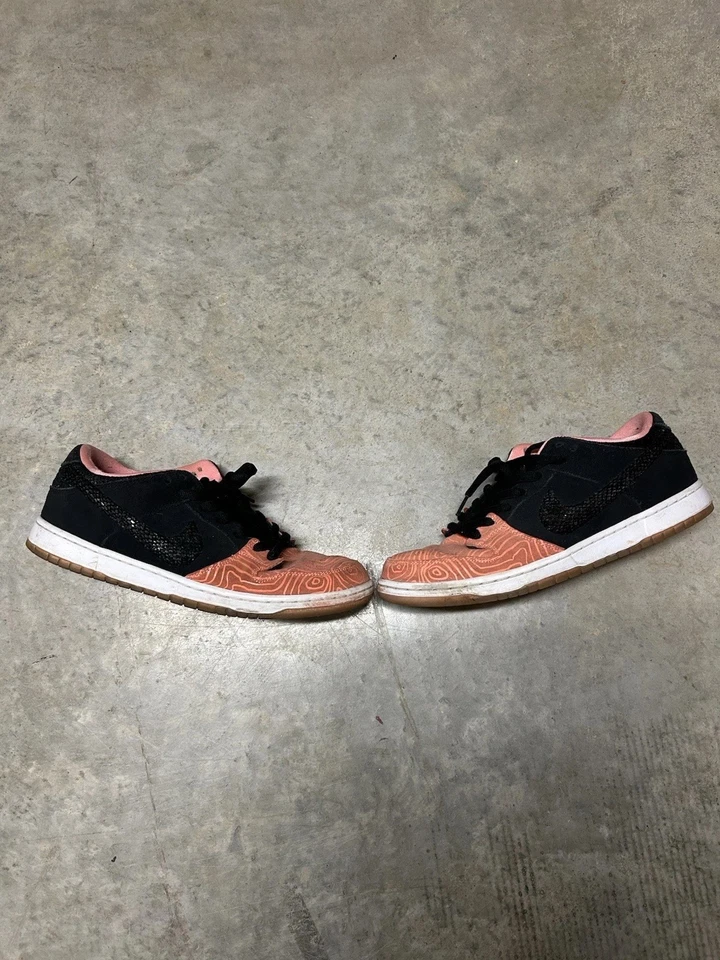 Nike Premier Dunk Pro SB Low Fish Ladder Size 11.5 - Image 1 of 4