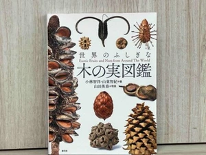 Exotic Fruits & Nuts from Around the World Visual Guide Book Encyclopedia Japan - Picture 1 of 20