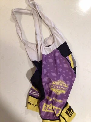 ВЕЛОСИПЕДНЫЕ ШОРТЫ LOUIS GARNEAU BIB ЖЕНСКИЕ Med Kulshan Brewing Co G1 - Изображение 1 из 3