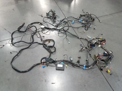 Chevy Camaro Z28 2001 chasis arnés de cableado/módulo BCM #6779 Y2 Foto 1 de 4