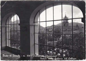 COLLEPARDO - FROSINONE - BADIA DI TRISULTI - VIAGG. 1962 -13605- - Picture 1 of 1