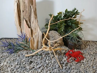 Driftwood aquarium fish & reptiles 8x11" spderwood root decor - Image 1 of 4