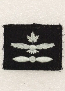 Royal Canadian Air Force RCAF Cadet Level 1 Proficiency Badge - cloth - Picture 1 of 2