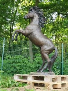 Bronzefigur Aufbäumendes Pferd Sofort Lieferbar