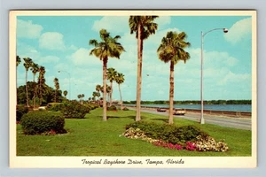 Tropical Bayshore Drive, Palms Bay Classic Cars, Tampa Florida Vintage Postcard - Picture 1 of 2