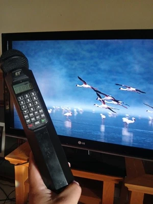 Magic Sing Karaoke con Cables, Manual y Estuche Negro Probado Funcionando Foto 1 de 4