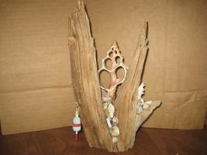 Treibholz Kunst Skulptur mit großer geschnittener Muschel maritimes Dekor - Bild 1 von 7