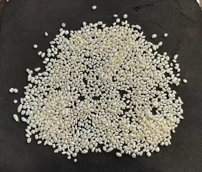 100 VINTAGE GENUINE FRESHWATER BIWA NATURAL PEARL RICE BAROQUE BEADS  FREE SHIP - Image 1 of 4