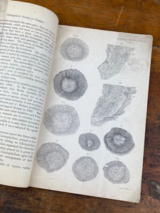 1880 Paleontology Booklet, Rugosa Corals Scotland, James Thomson, Dick Institute - Picture 1 of 10