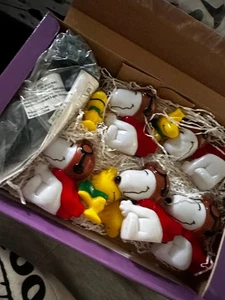 Peanuts Snoopy Woodstock Christmas 10 Light String Light Set Indoor Christmas 🎄 - Picture 1 of 11