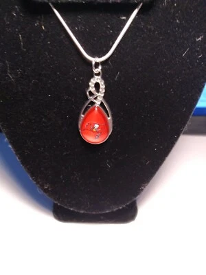 Collar Tampa Bay Buccaneers NFL 925 Cadena de Plata Logo Dije ¡NUEVO!! Foto 1 de 3