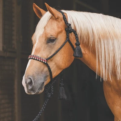 Halter tejido trenzado vaquero caballo elección profesional 24 piezas Foto 1 de 4