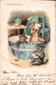 1903 Louis Wain Cats In Bath Humour Postcard posted original - Picture 1 of 2