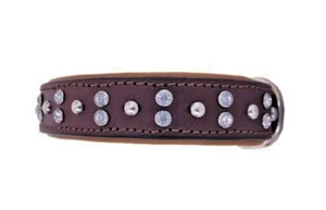 Shwaan Rhinestone Dog Collars Genuine Leather Padded Bling Dog Collar S 11" - 14 - Picture 1 of 9