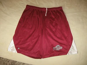 Pantalones cortos de baloncesto Rider University Broncs medianos/grandes RU NCAA Nueva Jersey BBall - Imagen 1 de 4