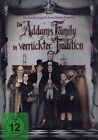 DVD NEU/OVP - Die Addams Family in verrückter Tradition (1993) - Anjelica Huston