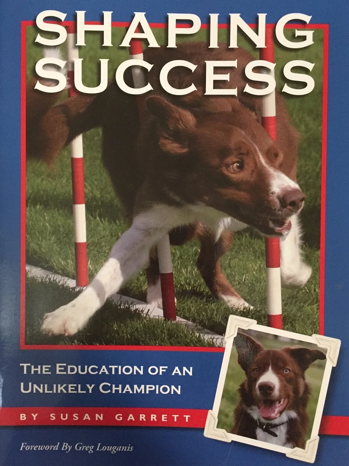 Shaping Success Foto 1 de 1