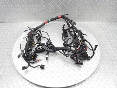 Ducati Hypermotard 939 2016 16-18 motor principal arnés cable telar OEM Foto 1 de 4