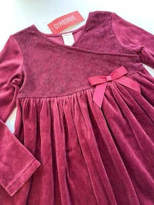Vintage NWT Gymboree 2006 FAMILY PORTRAIT Burgundy Lace Holiday Velour Dress 5 - Picture 1 of 3