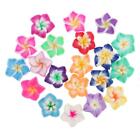 20 Pieces of Assorted Color Plumeria Rubra Polymer Clay Beads for Jewelry