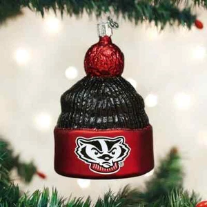 Wisconsin Gorro Viejo Mundo Vidrio Personalizado Adorno de Navidad - Imagen 1 de 1