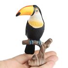 Toucan Bird Model Figure Toy Kids Collection Safariparks Desk Display Toy
