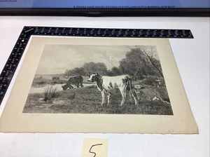 ART PAPER ETCHING PHOTO PRINT PLATE E. PEARLE SIGNED NOON DAY REST COWS Proof - Picture 1 of 20