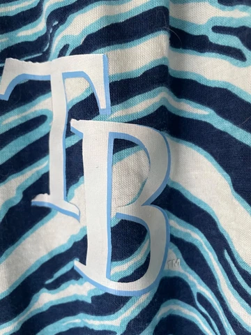 Tampa Bay Rays ZUBAZ Blue Navy White Vintage Style Zebra Pants TB Cover