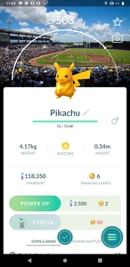 Pokémon Go | Shiny Pikachu MBL Tampa Bay Rays Baseball Hintergrund | Mini PTC - Bild 1 von 1
