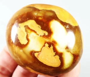 Natural Amazing Orbicular Ocean Jasper Agate Crystal Jasper Reiki Stone Pattern - Picture 1 of 7