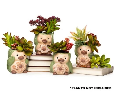 Macetas suculentas de cerámica para animales, lindo juego - 4 macetas pequeñas maceta de animales de cactus Foto 1 de 4
