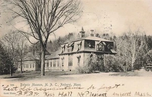 Botanic Museum M.A.C. Amherst Massachusetts postcard 3.12 - Picture 1 of 2