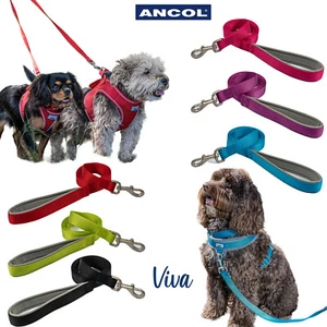 Dog Lead Padded Handle Ancol Viva Nylon Leash Puppy Soft Durable Strong 4 Sizes - Picture 1 of 12