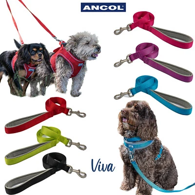 Dog Lead Padded Handle Ancol Viva Nylon Leash Puppy Soft Durable Strong 4 Sizes