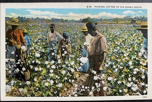 Cartolina d'epoca Carolina del Nord ASHEVILLE raccogliendo cotone nel soleggiato sud 1932 - Foto 1 di 2