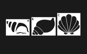 Plantilla de arte de pared reutilizable náutica Seashell-Playa-Mylar 190 micras-hágalo usted mismo - Imagen 1 de 1