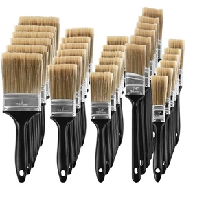 Affordable 30-Piece Paint Brush Set with Flagged Bristle for All Painting Needs - Picture 1 of 9